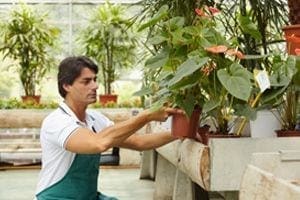 NASA’s Plant Shopping List