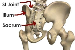 Anatomy of the Sacroiliac Joint