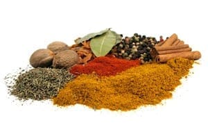 Can Dietary Choices Help the Spinal Cord Heal Itself?