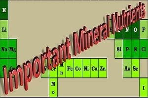 Overview of Mineral Nutrients