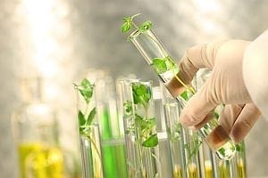 What Are Nutraceuticals?