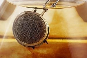 Cleansing: What Does the Science Really Say?