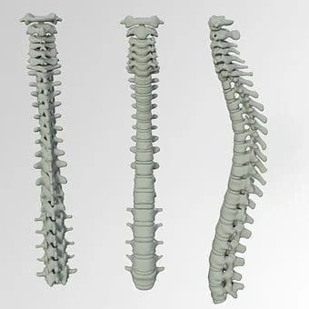How A Chiropractor Can Help With Postpartum Back Pain